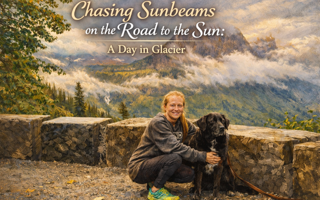 Chasing Sunbeams on the Road to the Sun: A Day in Glacier National Park with My Doggy