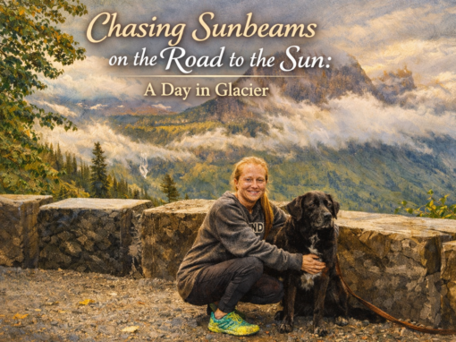 Chasing Sunbeams on the Road to the Sun: A Day in Glacier National Park with My Doggy Chasing Sunbeams on the Road to the Sun: A Day in Glacier National Park with My Doggy