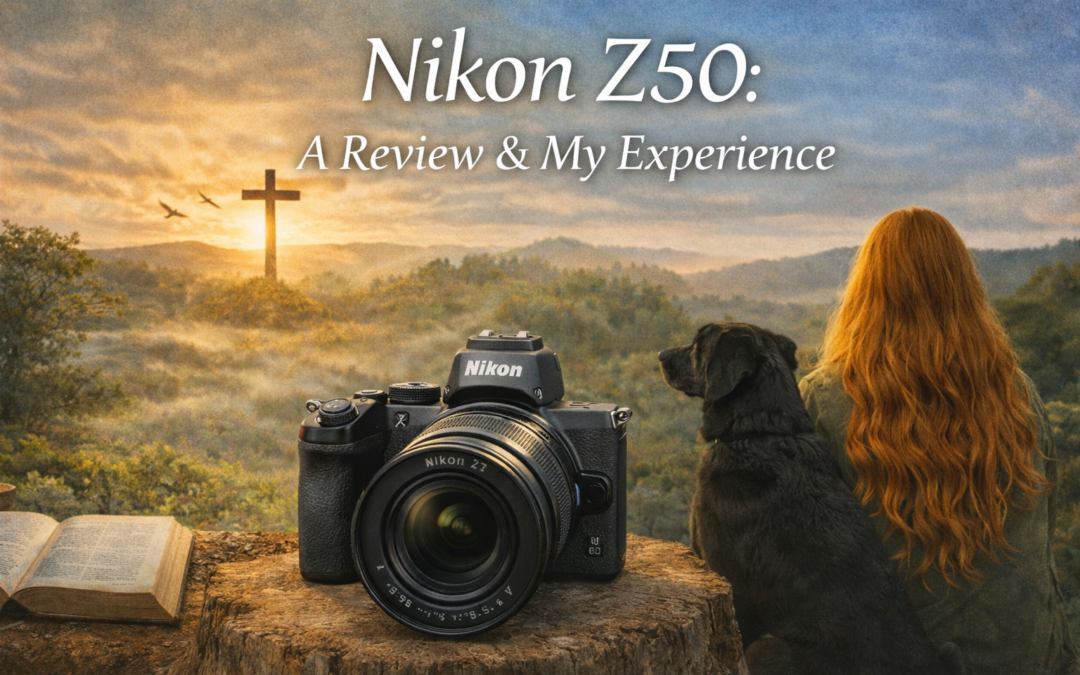 Capturing the Wild: My Travel Photography Companion – The Nikon Z50