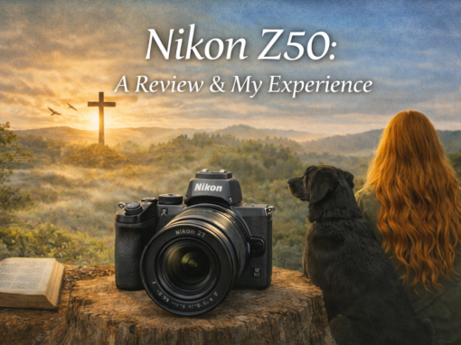 Capturing the Wild: My Travel Photography Companion – The Nikon Z50 Capturing the Wild: My Travel Photography Companion – The Nikon Z50