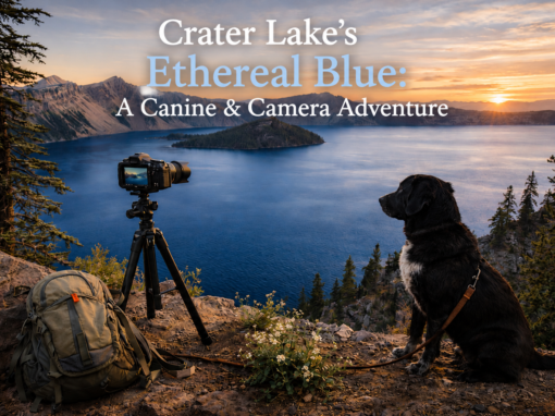 Crater Lake’s Ethereal Blue: A Canine & Camera Adventure Crater Lake’s Ethereal Blue: A Canine & Camera Adventure