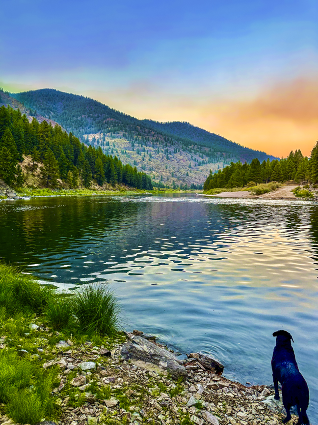Buster standing beside a peaceful Oregon river surrounded by forested hills beneath a colorful evening sky