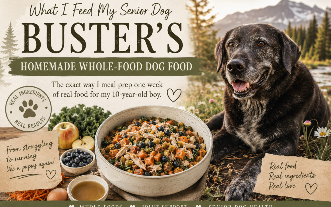 What I Feed My Senior Dog: Buster’s Homemade Whole-Food Dog Food