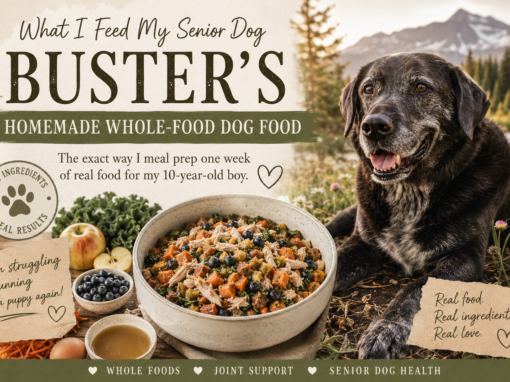 What I Feed My Senior Dog: Buster’s Homemade Whole-Food Dog Food What I Feed My Senior Dog: Buster’s Homemade Whole-Food Dog Food