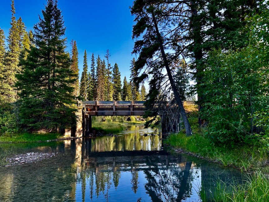 Rustic wooden bridge crossing a calm creek surrounded by evergreen trees while traveling through Oregon