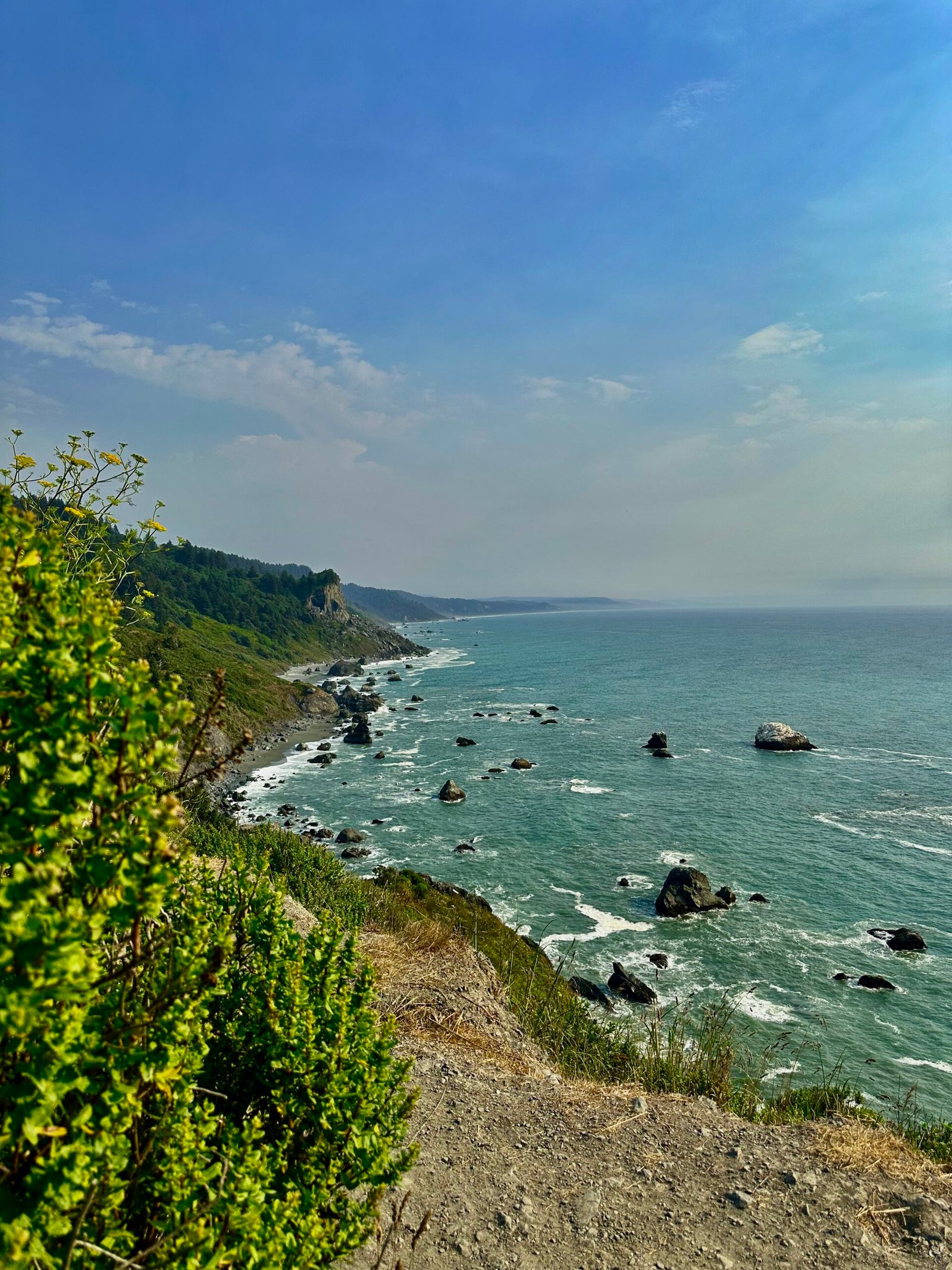 Elevated view of the rugged Northern California coastline with sea stacks, forested cliffs and Pacific Ocean waves