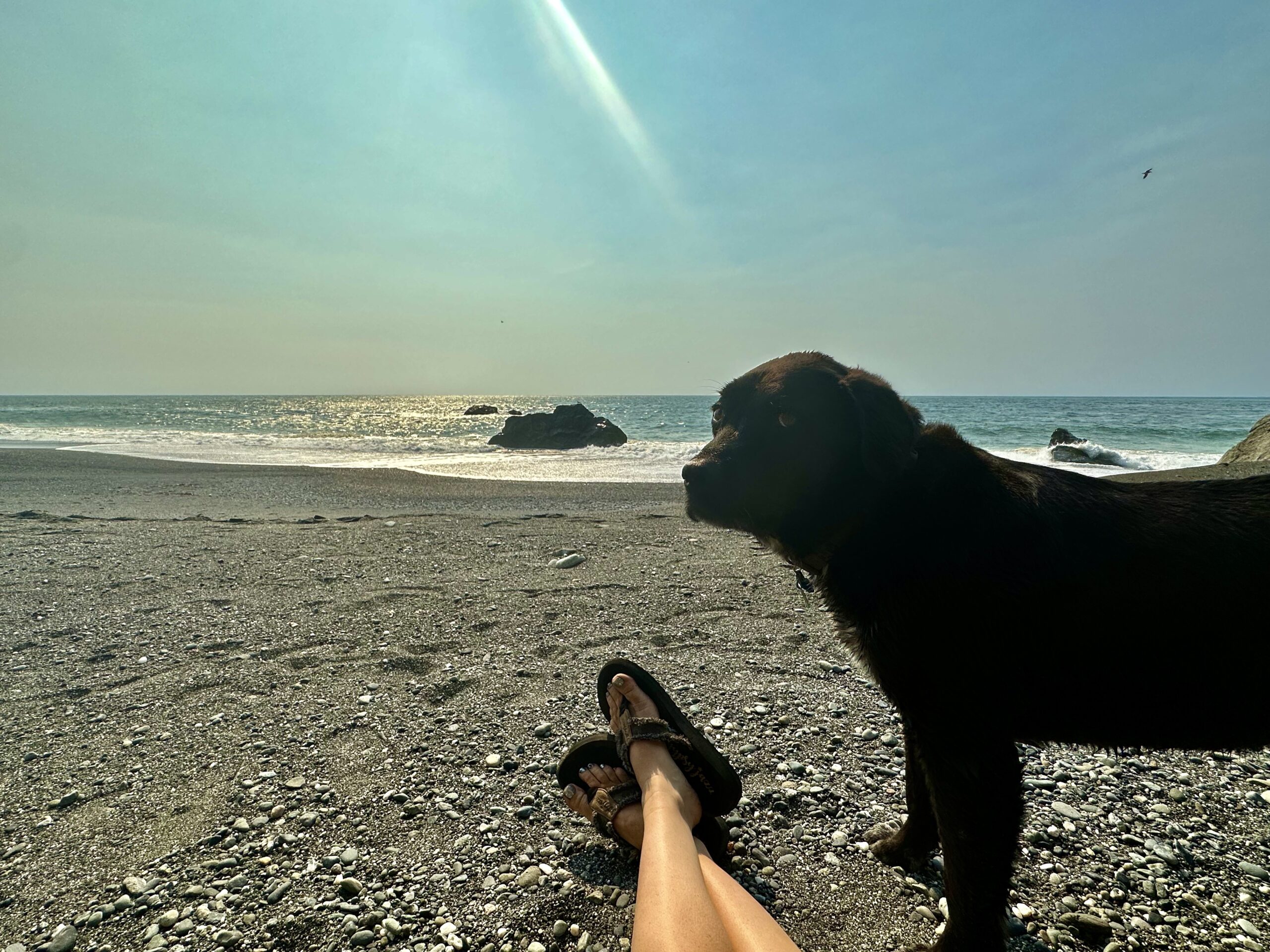 Buster standing beside me on a rocky beach overlooking the Pacific Ocean near Klamath, California