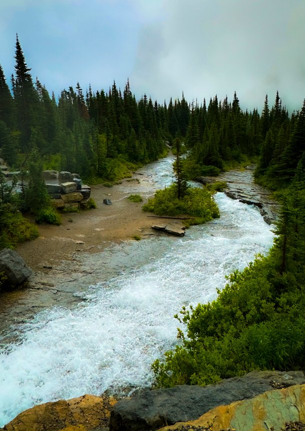 Fast-moving mountain river rushing between evergreen trees beneath cloudy skies in Glacier National Park